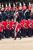 The Major General's Review 2011: The Ensign, Lieutenant Tom Ogilvy, trooping the Colour along No. 5 Guard, 1st Battalion Welsh Guards..
Horse Guards Parade, Westminster,
London SW1,
Greater London,
United Kingdom,
on 28 May 2011 at 11:25, image #174