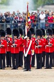 The Major General's Review 2011: The Ensign, Lieutenant Tom Ogilvy, with No. 1 Guard, the Escort to the Colour, here presenting arms..
Horse Guards Parade, Westminster,
London SW1,
Greater London,
United Kingdom,
on 28 May 2011 at 11:27, image #180
