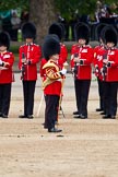 The Major General's Review 2011: No. 1 Guard, 1st Battalion Scots Guards, the Escort to the Colour, presenting arms. In front Drum Major Stephen Staite, Grenadier Guards..
Horse Guards Parade, Westminster,
London SW1,
Greater London,
United Kingdom,
on 28 May 2011 at 11:27, image #181