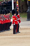 The Major General's Review 2011: After the trooping, the Guards are given orders to form divisions. Here No. 1 Guard, the Escort to the Colour, with the Ensign carrying the flag..
Horse Guards Parade, Westminster,
London SW1,
Greater London,
United Kingdom,
on 28 May 2011 at 11:29, image #185