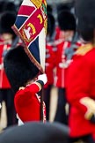 The Major General's Review 2011: Close-up of the the Ensign, Lieutenant Tom Ogilvy, carrying the Colour..
Horse Guards Parade, Westminster,
London SW1,
Greater London,
United Kingdom,
on 28 May 2011 at 11:34, image #200