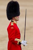 The Major General's Review 2011: Captain Krause-Harder-Colthorpe, the Subaltern of the Escort. It is a long-standing tradition that the Subaltern commands the Escort during the 	actual Trooping the Colour through the ranks. He took command from the Captain of the Escort, Major Rory Shannon..
Horse Guards Parade, Westminster,
London SW1,
Greater London,
United Kingdom,
on 28 May 2011 at 11:35, image #203