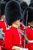 The Major General's Review 2011: Close-up of a Lieutenant from the Scots Guards..
Horse Guards Parade, Westminster,
London SW1,
Greater London,
United Kingdom,
on 28 May 2011 at 11:36, image #205