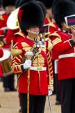 The Major General's Review 2011: Drum Major Tony Taylor, No. 7 Company Coldstream Guards, leading the Band of the Irish Guards..
Horse Guards Parade, Westminster,
London SW1,
Greater London,
United Kingdom,
on 28 May 2011 at 11:39, image #215