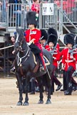 The Major General's Review 2011: The Major of the Parade, Major Benedict Peter Norman Ramsay, Welsh Guards..
Horse Guards Parade, Westminster,
London SW1,
Greater London,
United Kingdom,
on 28 May 2011 at 11:43, image #222