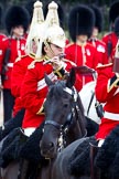 The Major General's Review 2011: Flautist of The Life Guards playing the piccolo..
Horse Guards Parade, Westminster,
London SW1,
Greater London,
United Kingdom,
on 28 May 2011 at 11:54, image #239