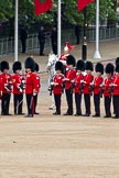 The Major General's Review 2011: The Trumpter on his grey horse arriving at the "corner" between No. 5 and No. 6 Guard..
Horse Guards Parade, Westminster,
London SW1,
Greater London,
United Kingdom,
on 28 May 2011 at 11:55, image #247