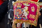 The Major General's Review 2011: Close-up of the drum banner of a kettle drum from the Band of the Blues and Royals..
Horse Guards Parade, Westminster,
London SW1,
Greater London,
United Kingdom,
on 28 May 2011 at 11:56, image #249