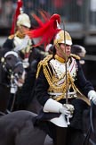 The Major General's Review 2011: A Captain of The Blues and Royals..
Horse Guards Parade, Westminster,
London SW1,
Greater London,
United Kingdom,
on 28 May 2011 at 11:58, image #258