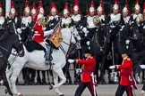 The Major General's Review 2011: The Trumpeter in front of The Blues and Royals. The grey horse of the trumpeter goes back to the need for high visibility in battle..
Horse Guards Parade, Westminster,
London SW1,
Greater London,
United Kingdom,
on 28 May 2011 at 12:04, image #271