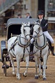The Major General's Review 2011: The head coachman, Jack Hargreaves, riding one of the two Windsor Grey horses that will pull the ivory mounted phaeton HM The Queen will be using..
Horse Guards Parade, Westminster,
London SW1,
Greater London,
United Kingdom,
on 28 May 2011 at 12:07, image #276