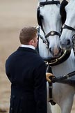 The Major General's Review 2011: A Footman from the Royal Mews with the two Windsor Grey horses that will be pulling the ivory mounted phaeton used by HM The Queen during the parade..
Horse Guards Parade, Westminster,
London SW1,
Greater London,
United Kingdom,
on 28 May 2011 at 12:07, image #278