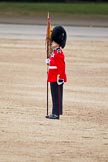 The Major General's Review 2011: A Keeper of the Ground of the Welsh Guards, marking the spot of No. 5 Guard on Horse Guards Parade..
Horse Guards Parade, Westminster,
London SW1,
Greater London,
United Kingdom,
on 28 May 2011 at 12:11, image #287