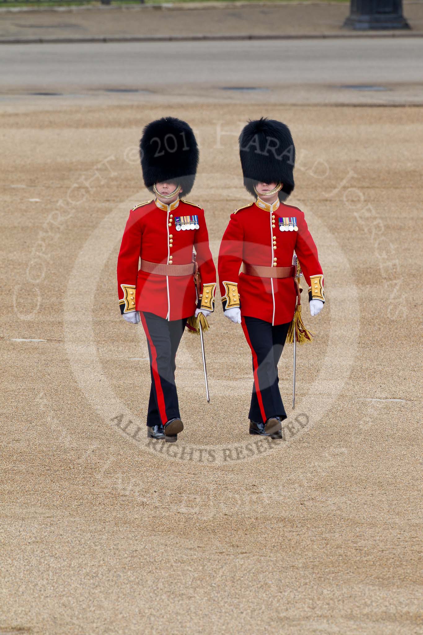 Trooping the Colour 2011: Subaltern and Ensign from the Scots Guards, crossing Horse Guards Parade from the the position of their guard towards Horse Guards Arch..
Horse Guards Parade, Westminster,
London SW1,
Greater London,
United Kingdom,
on 11 June 2011 at 09:53, image #6