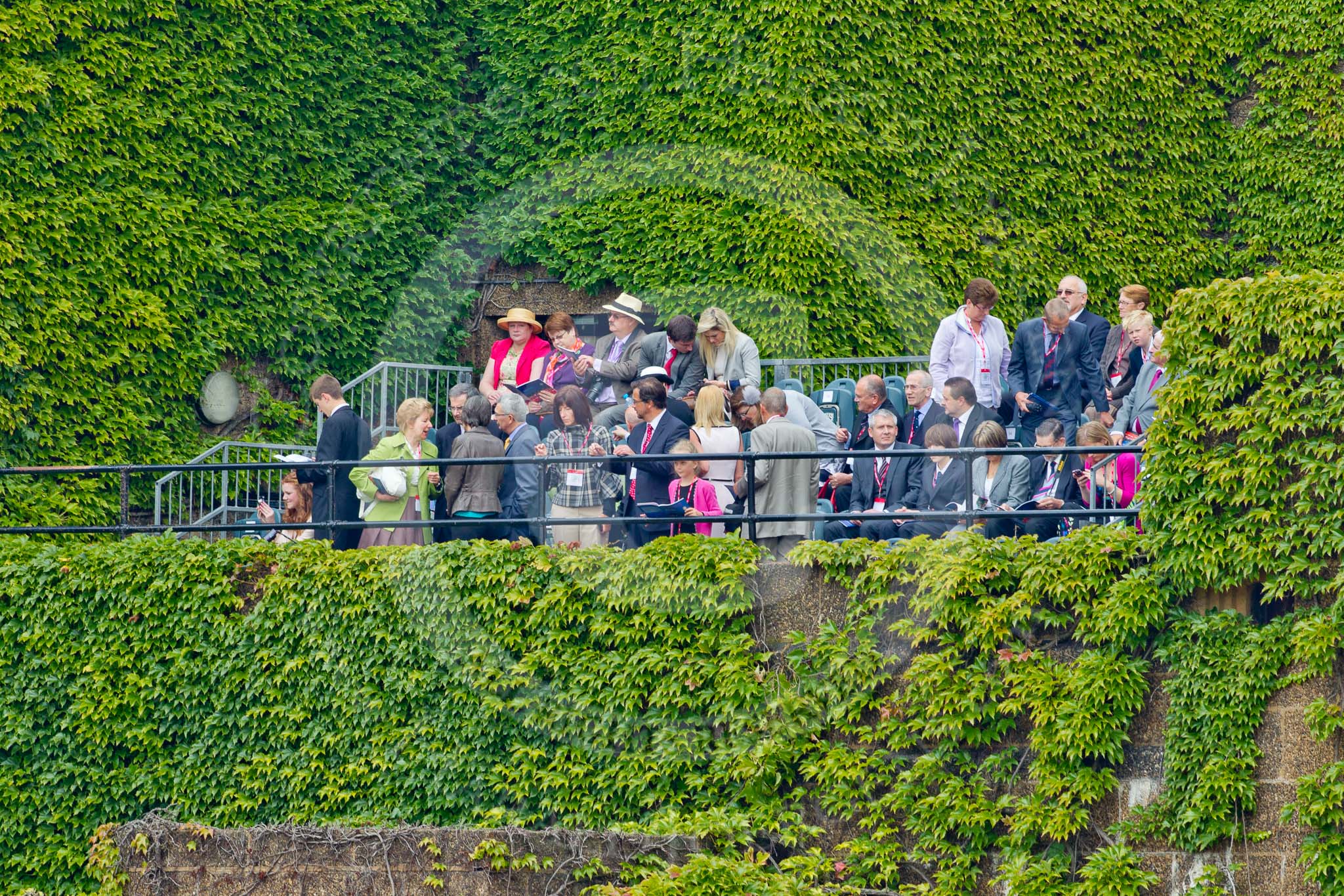 Trooping the Colour 2011: Spectators watching 'Trooping the Colour' from the Citadel, the ivy-covered wartime bunker that is part of the Old Admirality Building in Whitehall, facing Horse Guards Parade..
Horse Guards Parade, Westminster,
London SW1,
Greater London,
United Kingdom,
on 11 June 2011 at 10:11, image #9