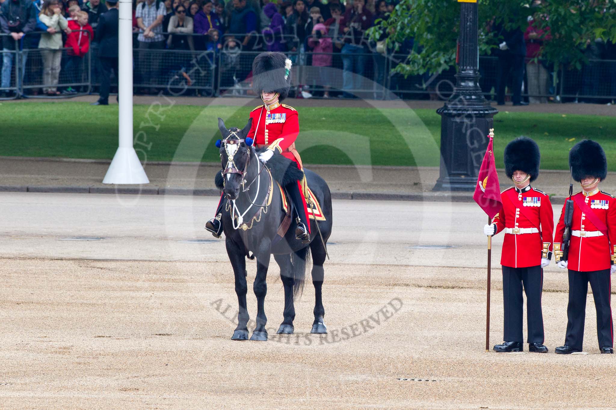Trooping the Colour 2011: The Major of the Parade, Major Benedict Peter Norman Ramsay, Welsh Guards. He was awarded a CBE on the day of the parade..
Horse Guards Parade, Westminster,
London SW1,
Greater London,
United Kingdom,
on 11 June 2011 at 10:43, image #75