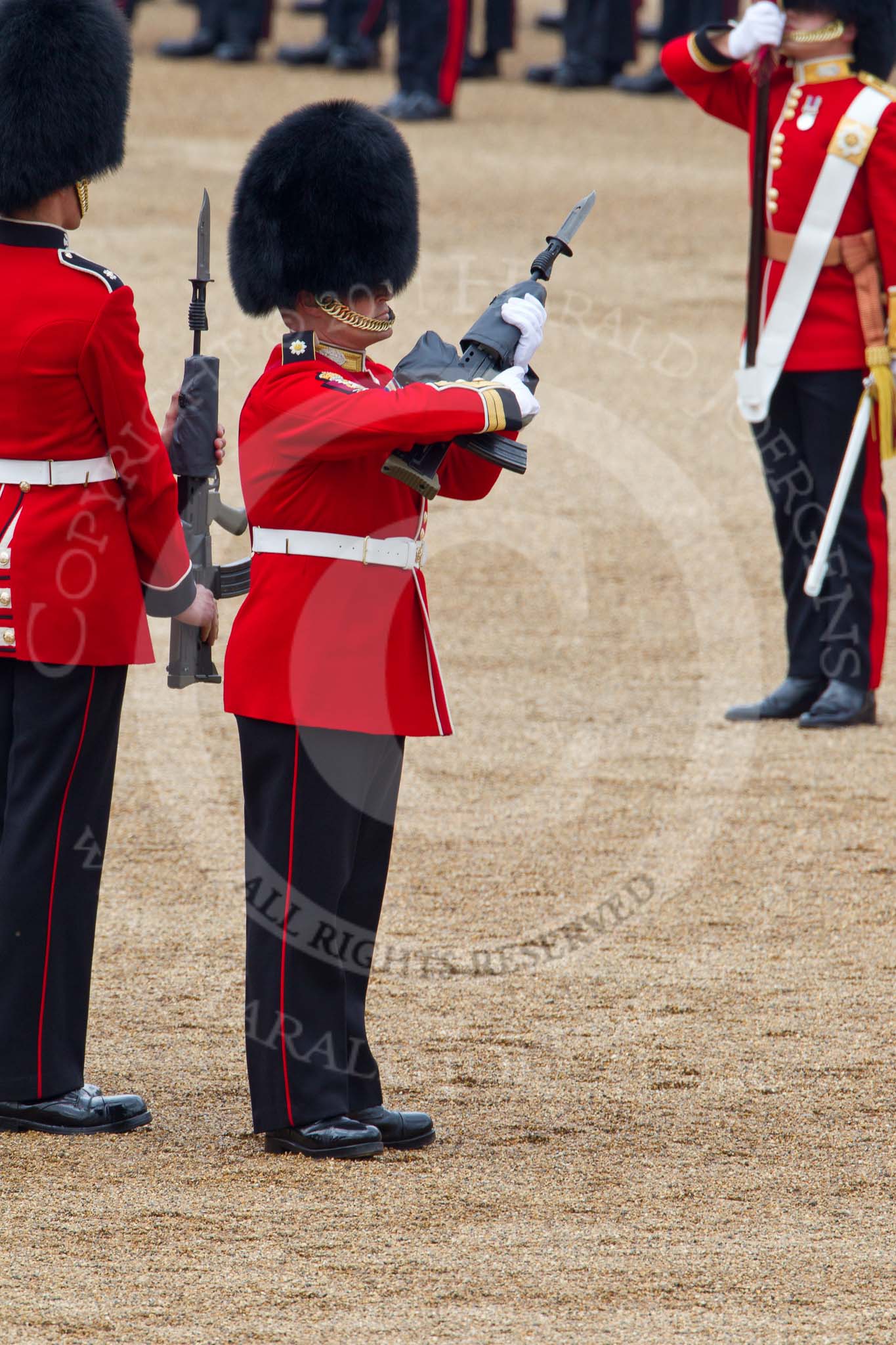 Trooping the Colour 2011: The Escort to the Colour presenting arms after the Colour has been handed over tp the Ensign, Tom Ogilvie (on the right of the photo).
Horse Guards Parade, Westminster,
London SW1,
Greater London,
United Kingdom,
on 11 June 2011 at 11:21, image #202