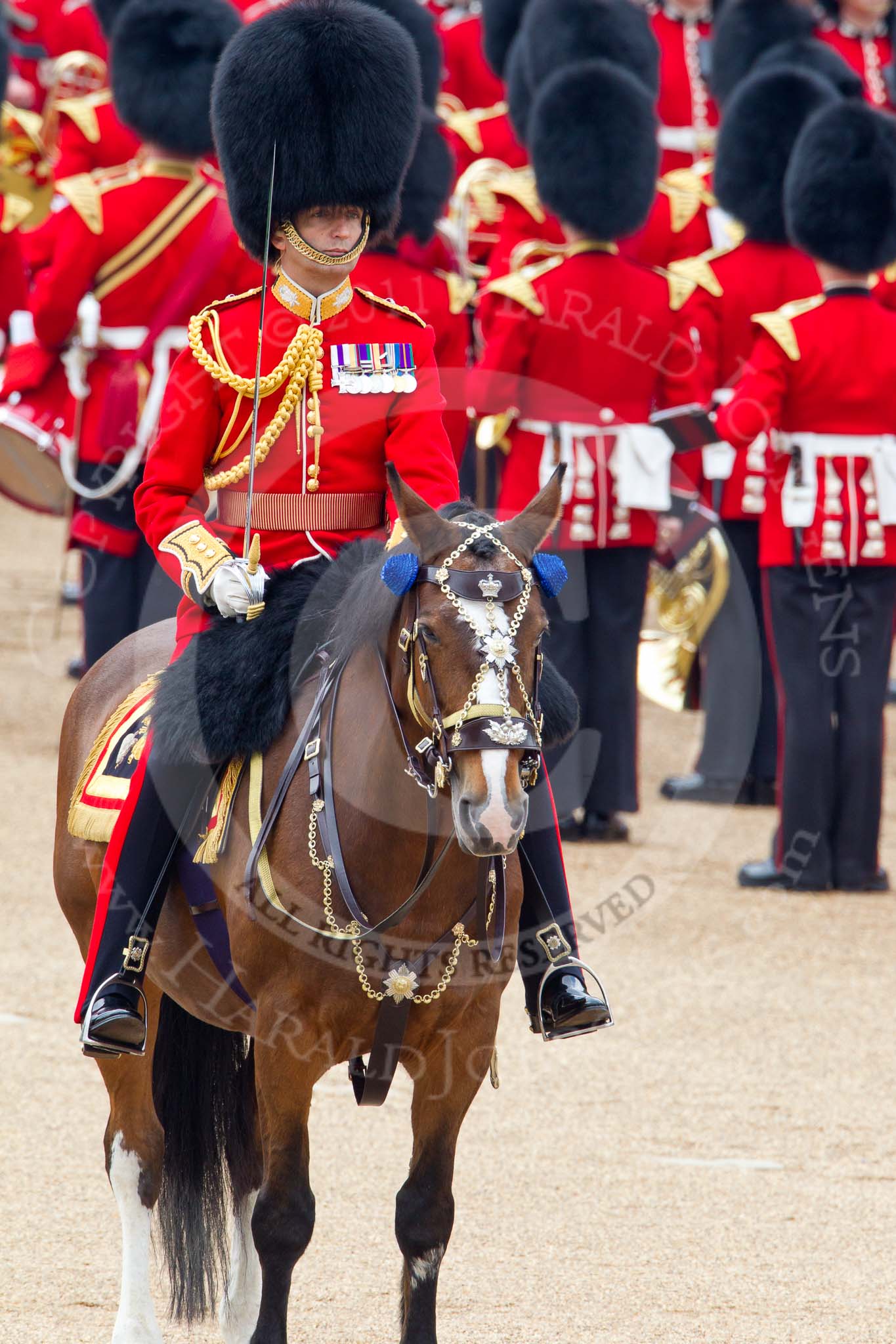 Photo 110611_112249_1D4_3949HaraldJoergens_ Trooping the Colour 2011: The Field Officer, Lieutenant Colonel Lincoln P M Jopp, watching the Trooping of the Colour through the ranks..
Horse Guards Parade, Westminster,
London SW1,
Greater London,
United Kingdom,
on 11 June 2011 at 11:22, image #205