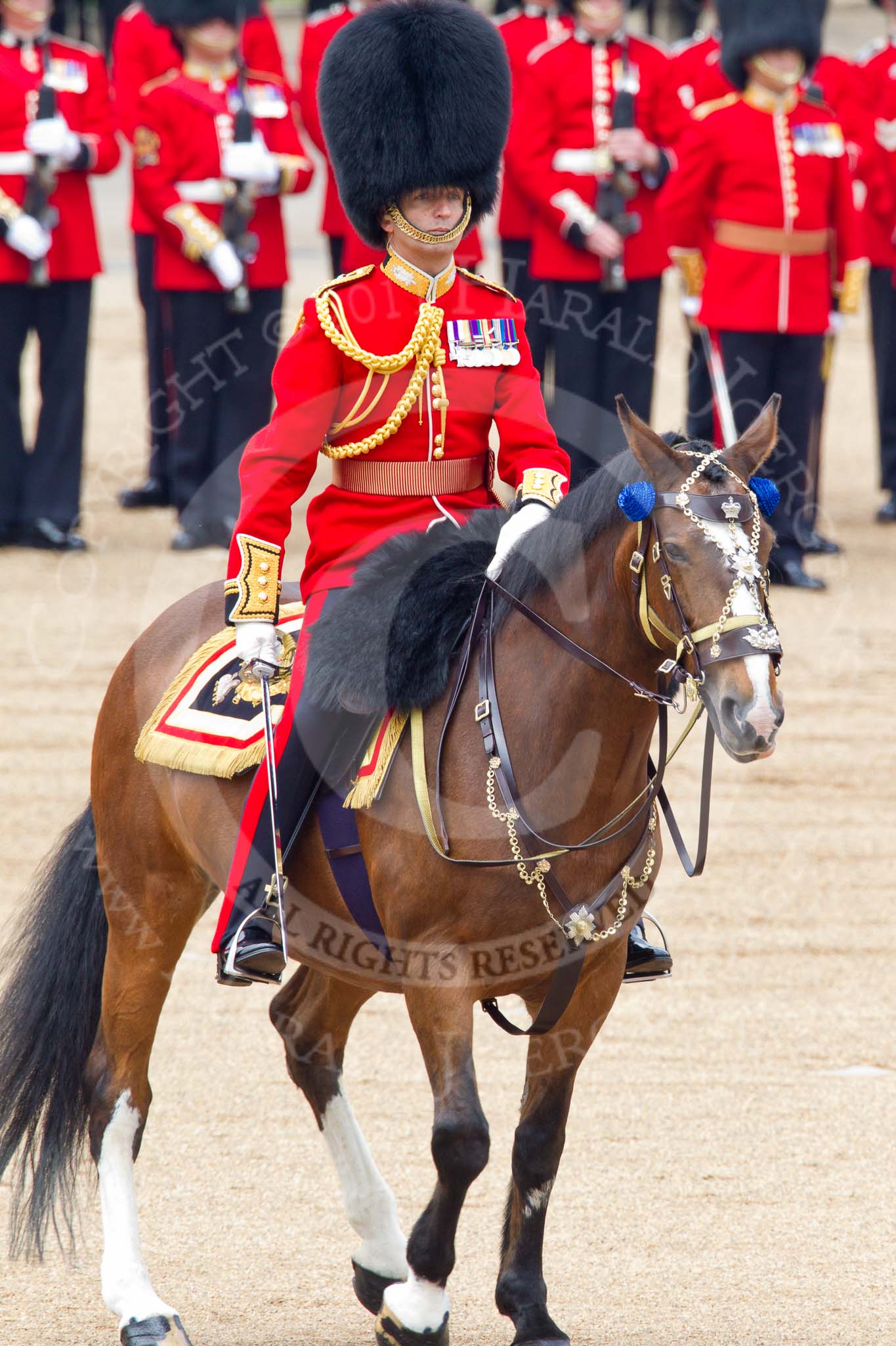 Trooping the Colour 2011: The Field Officer, Lieutenant Colonel L P M Jopp, Scots Guards, riding Burniston..
Horse Guards Parade, Westminster,
London SW1,
Greater London,
United Kingdom,
on 11 June 2011 at 11:25, image #209