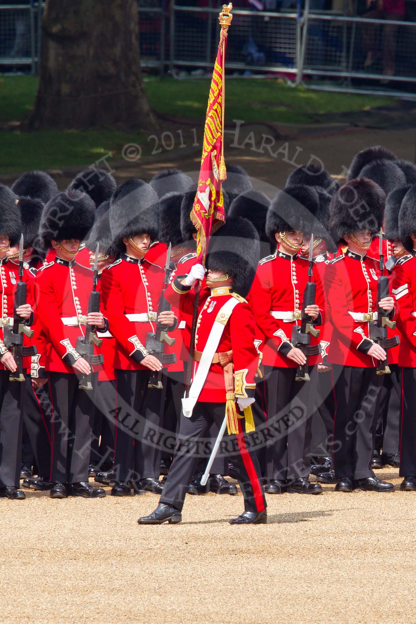 Photo 110611_112556_1D4_4007HaraldJoergens_ Trooping the Colour 2011: The Ensign for the Colour, Lt. Tom Ogilvy, Scots Guards, is carrying the Colour through the ranks of the assembled guardsmen, here No. 5 Guard, 1st Battalion Welsh Guards..
Horse Guards Parade, Westminster,
London SW1,
Greater London,
United Kingdom,
on 11 June 2011 at 11:25, image #210