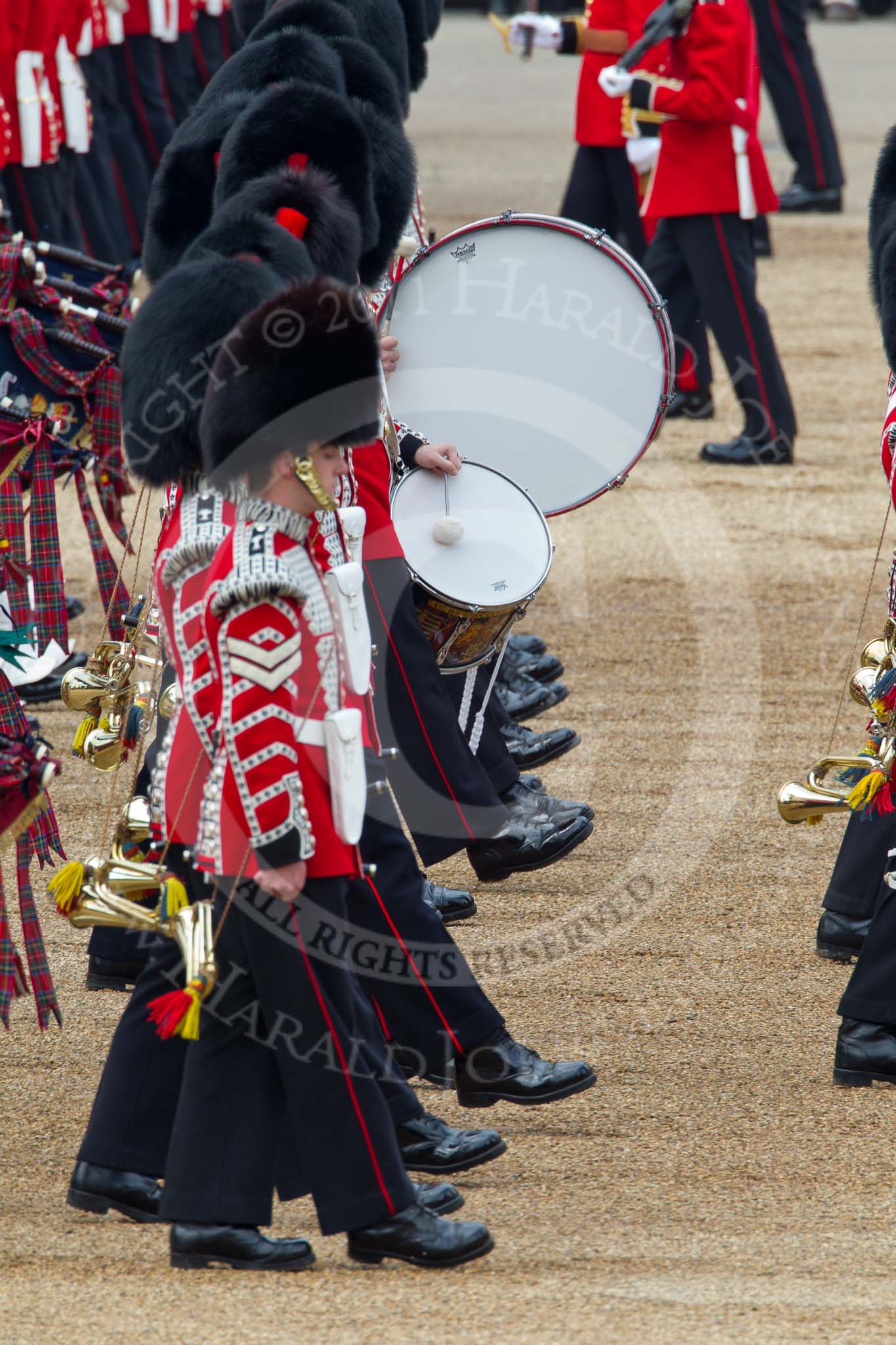 Trooping the Colour 2011: 1st Battalion Scots Guards: Drummers of the Scots Guards Band..
Horse Guards Parade, Westminster,
London SW1,
Greater London,
United Kingdom,
on 11 June 2011 at 11:33, image #226