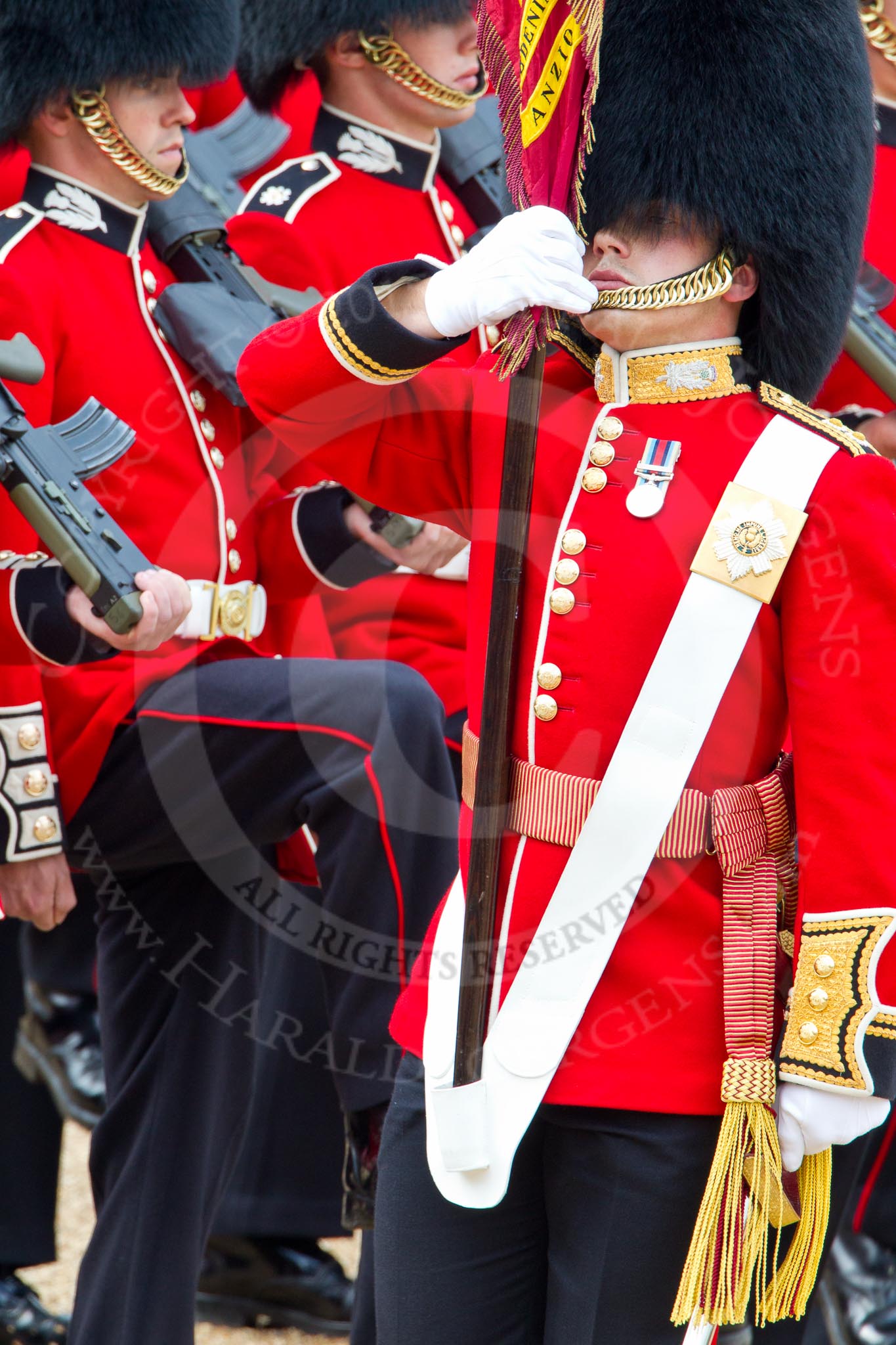 Trooping the Colour 2011: Close-up of the Ensign, Lieutenant Tom Ogilvy, carrying the Colour in his white colour belt..
Horse Guards Parade, Westminster,
London SW1,
Greater London,
United Kingdom,
on 11 June 2011 at 11:35, image #233