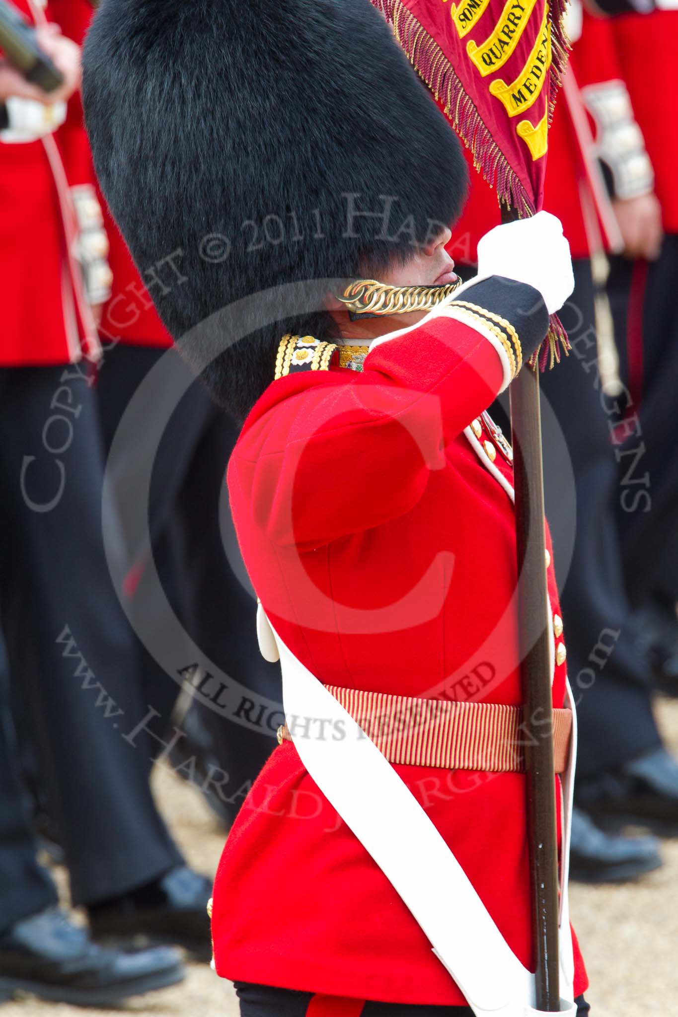 Photo 110611_113636_1D4_4203HaraldJoergens_ Trooping the Colour 2011: Close-up of the Ensign, Lieutenant Tom Ogilvy, carrying the Colour in his white colour belt..
Horse Guards Parade, Westminster,
London SW1,
Greater London,
United Kingdom,
on 11 June 2011 at 11:36, image #237