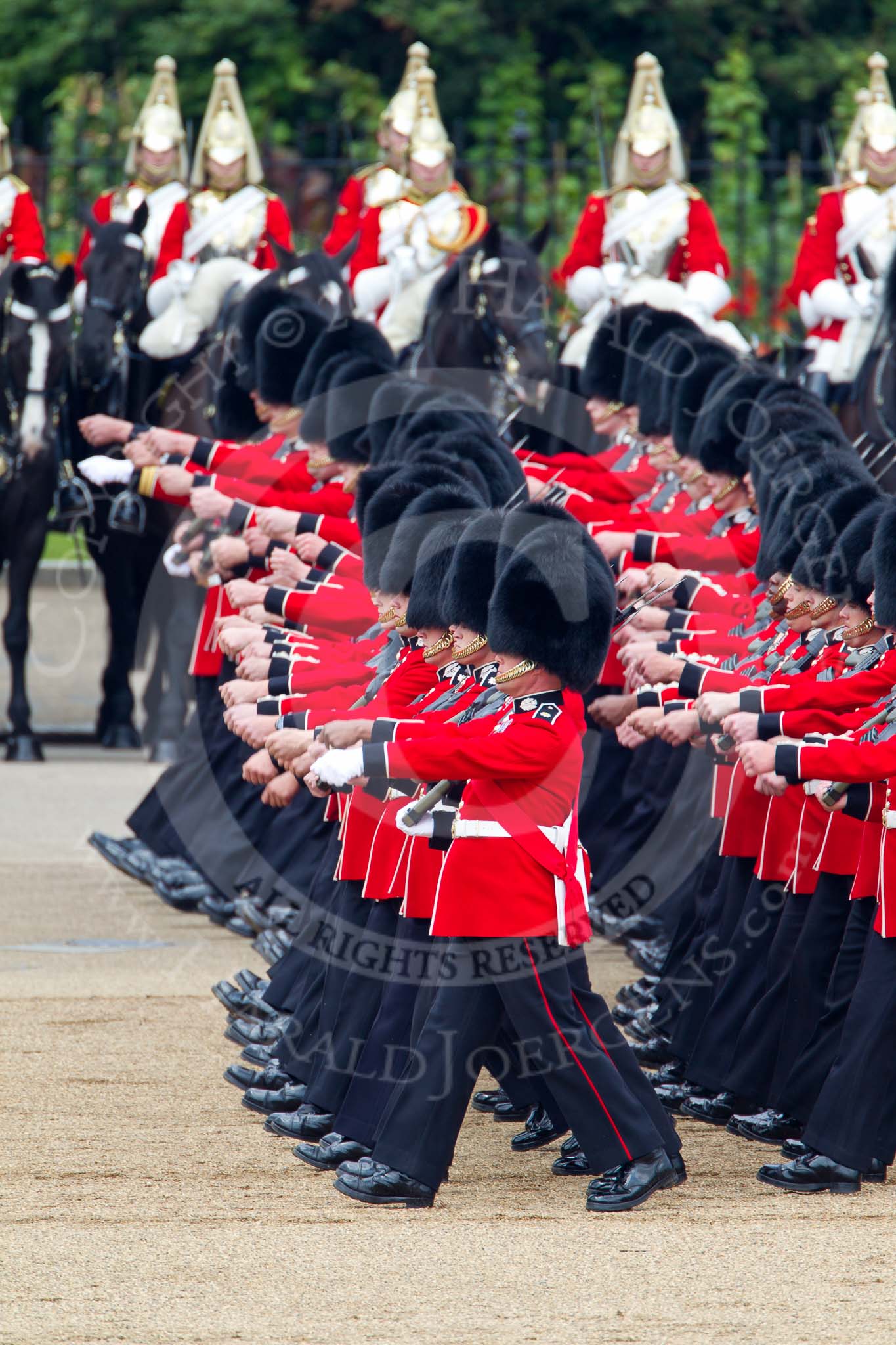 Trooping the Colour 2011: No. 3 Guard, F Company Scots Guards, during the March Past. In the background The Life Guards, Household Cavalry..
Horse Guards Parade, Westminster,
London SW1,
Greater London,
United Kingdom,
on 11 June 2011 at 11:43, image #271