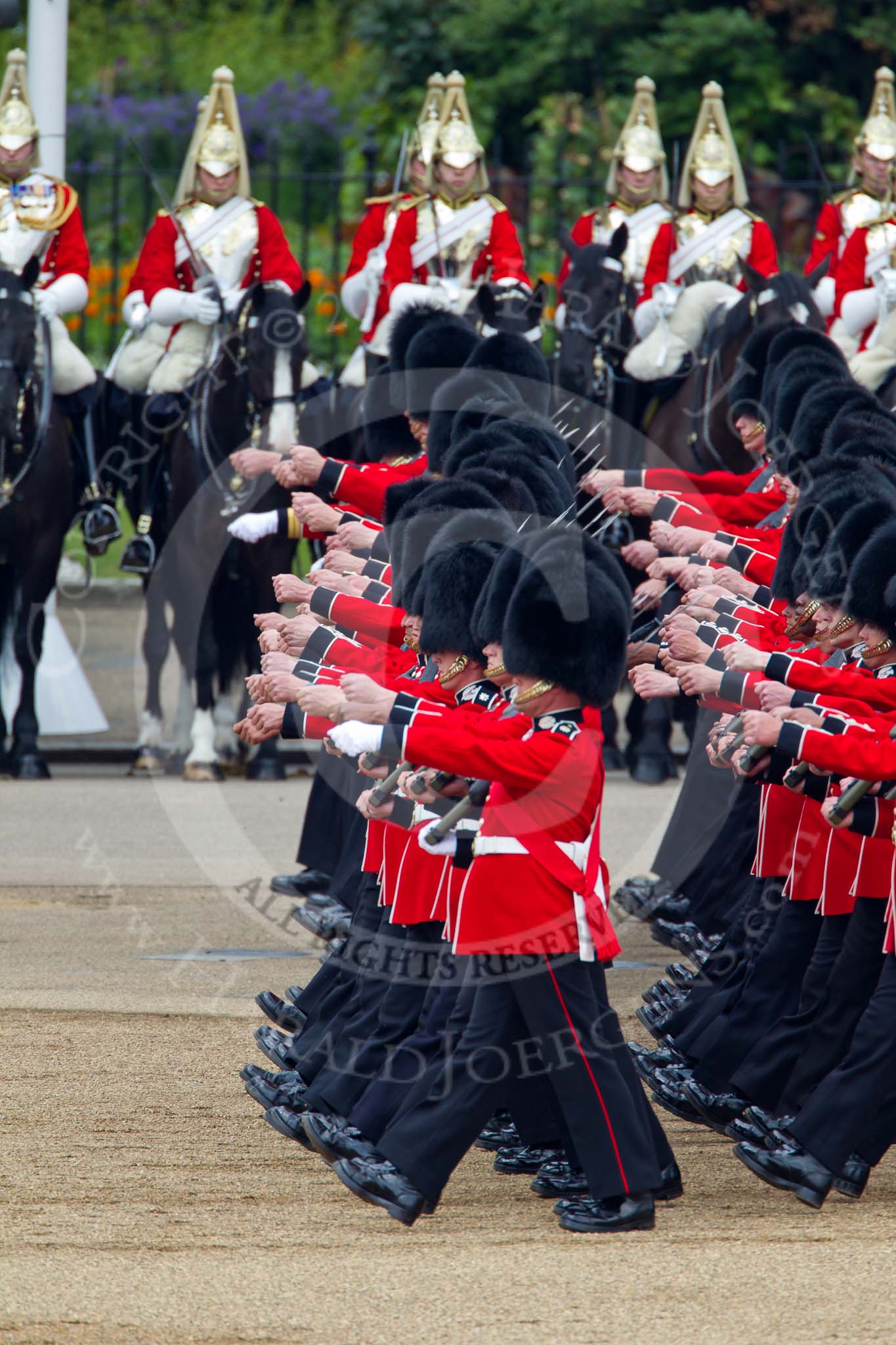 Trooping the Colour 2011: No. 3 Guard, F Company Scots Guards, during the March Past. In the background The Life Guards, Household Cavalry..
Horse Guards Parade, Westminster,
London SW1,
Greater London,
United Kingdom,
on 11 June 2011 at 11:43, image #272