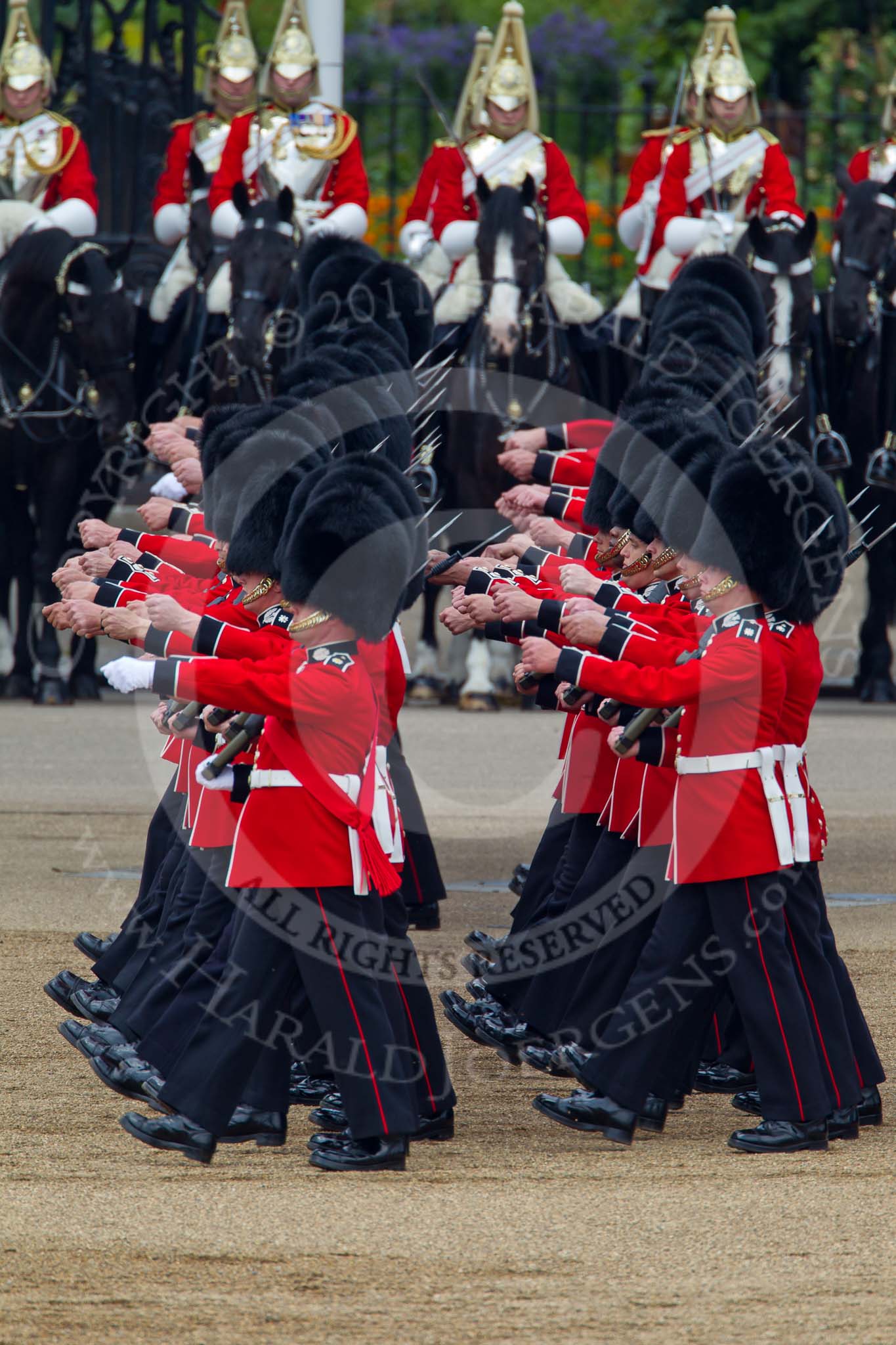 Trooping the Colour 2011: No. 3 Guard, F Company Scots Guards, during the March Past. In the background, The Life Guards from the Household Cavalry..
Horse Guards Parade, Westminster,
London SW1,
Greater London,
United Kingdom,
on 11 June 2011 at 11:43, image #273
