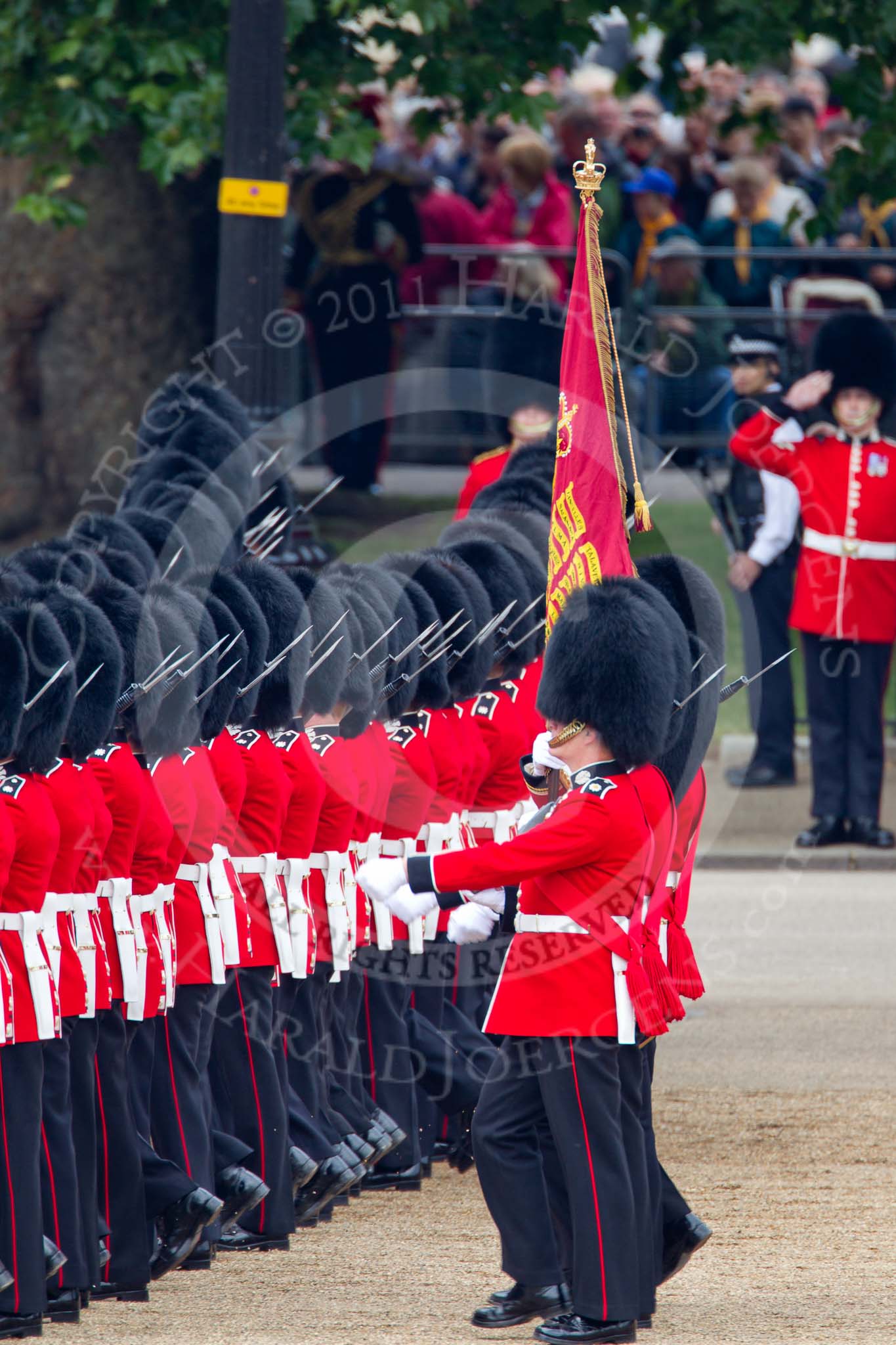 Trooping the Colour 2011: No. 1 Guard, the Escort to the Colour, during the March Past..
Horse Guards Parade, Westminster,
London SW1,
Greater London,
United Kingdom,
on 11 June 2011 at 11:43, image #276