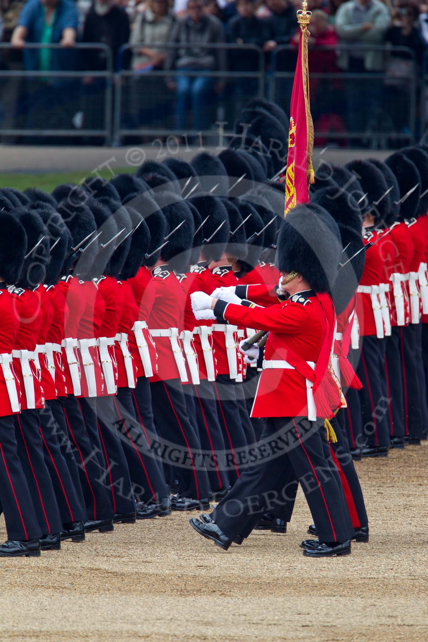 Trooping the Colour 2011: No. 1 Guard, the Escort to the Colour, during the March Past..
Horse Guards Parade, Westminster,
London SW1,
Greater London,
United Kingdom,
on 11 June 2011 at 11:43, image #277