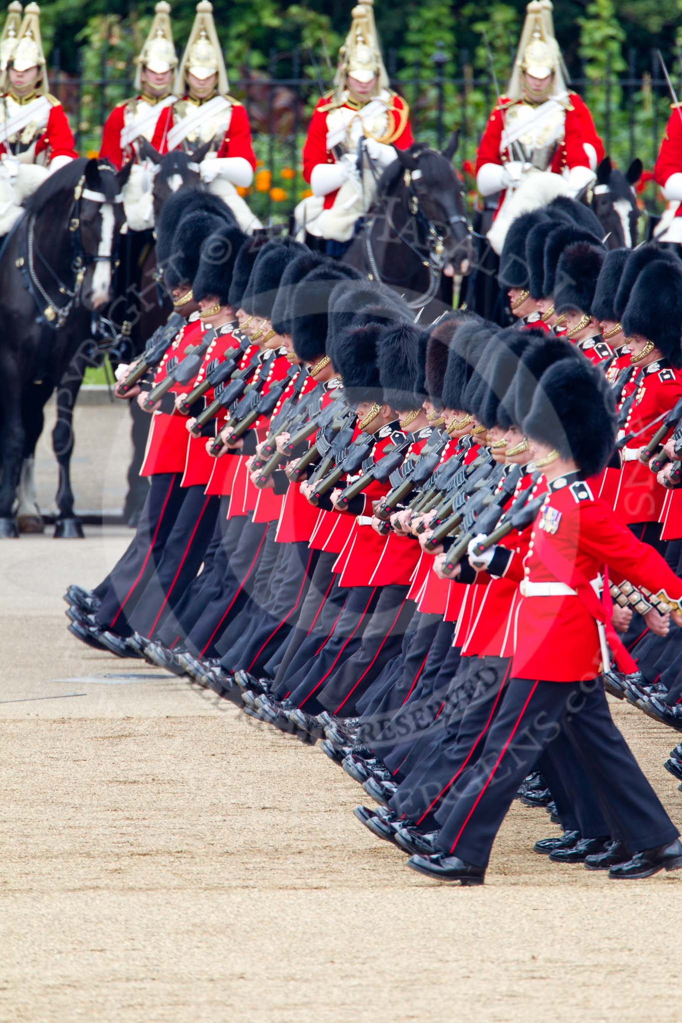 Trooping the Colour 2011: No. 2 Guard, B Company Scots Guards, following No. 1 Guard, the Escort to the Colour, during the March Past. In the background, The Life Guards from the Household Cavalry..
Horse Guards Parade, Westminster,
London SW1,
Greater London,
United Kingdom,
on 11 June 2011 at 11:44, image #279