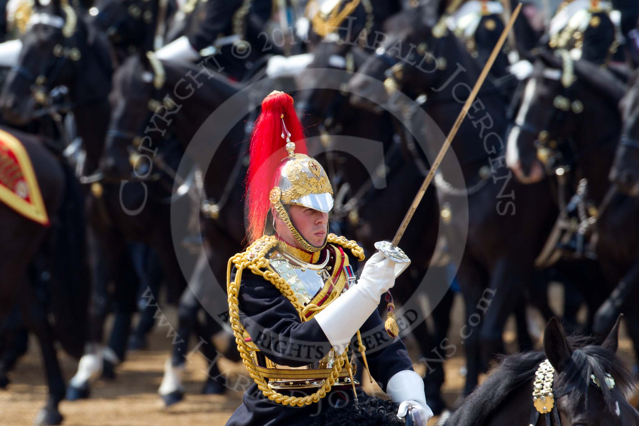 Trooping the Colour 2011: Close-up of Serrefile Captain S S Lukas, The Blues and Royals..
Horse Guards Parade, Westminster,
London SW1,
Greater London,
United Kingdom,
on 11 June 2011 at 11:55, image #342