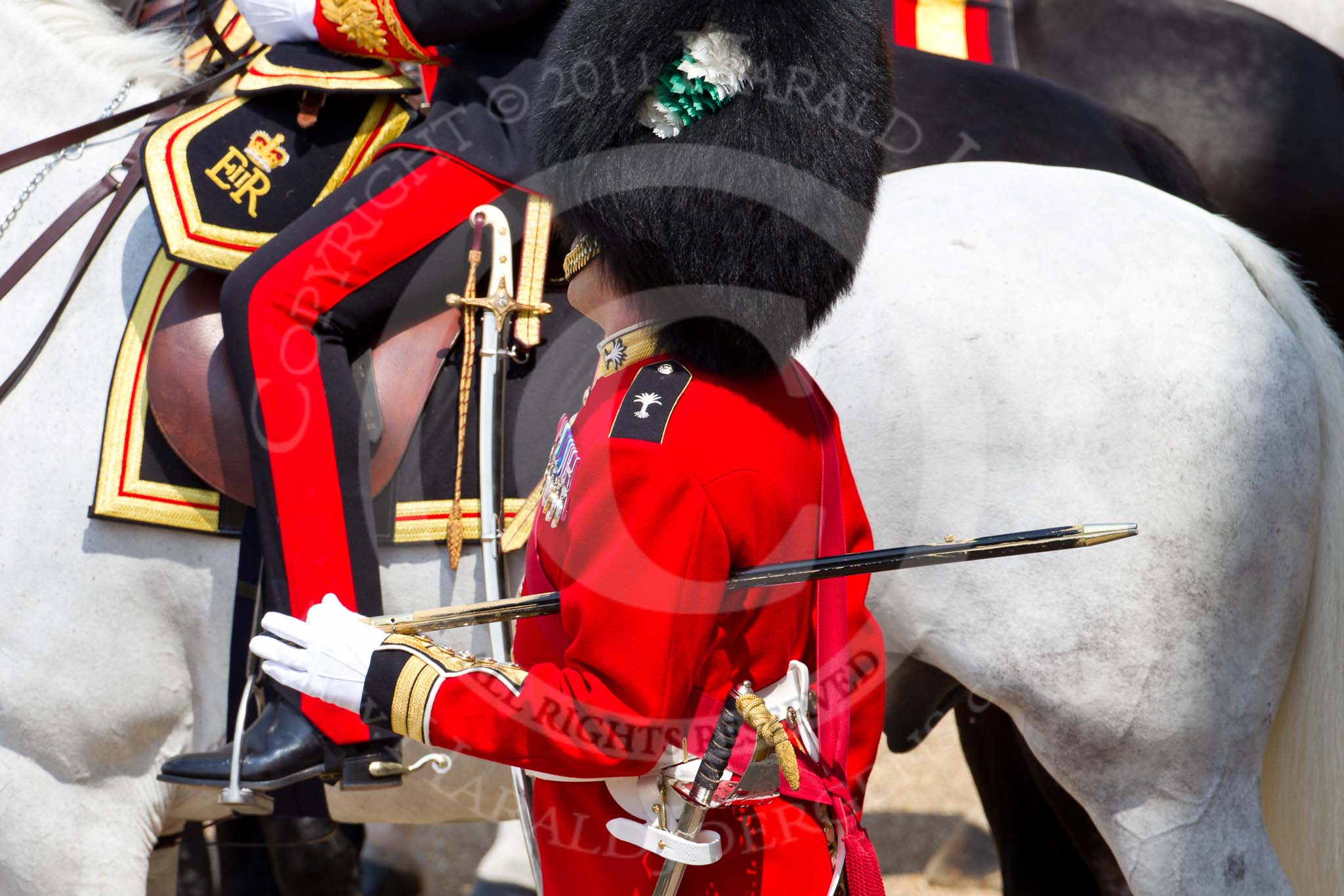 Photo 110611_115642_1D4_4922HaraldJoergens_ Trooping the Colour 2011: Garrison Sergeant Major W D G Mott, Welsh Guards, talking to one of the members of the Royal Procession..
Horse Guards Parade, Westminster,
London SW1,
Greater London,
United Kingdom,
on 11 June 2011 at 11:56, image #348