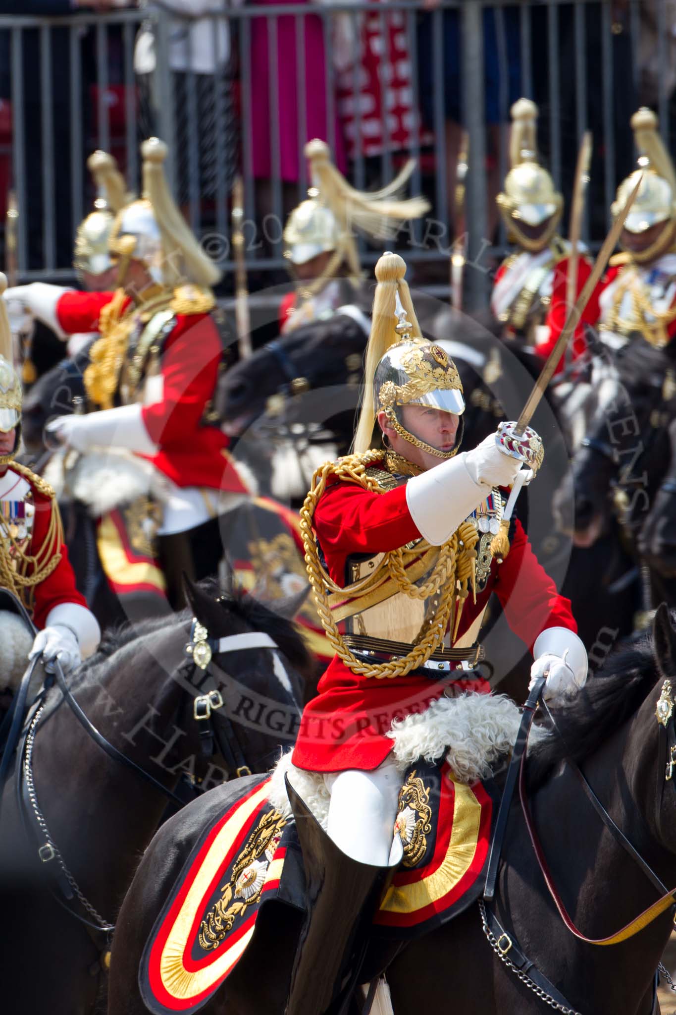 Trooping the Colour 2011: The Field Officer of the Escort, Major N P G van Cutsem, The Life Guards, during the Ride Past..
Horse Guards Parade, Westminster,
London SW1,
Greater London,
United Kingdom,
on 11 June 2011 at 11:58, image #361