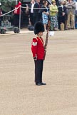 Trooping the Colour 2011: Lance Sergeant Jason Burton, Bassoonist in the Grenadier Guards Band, marking the position, on Horse Guards Parade, for the first of the Drum Majors leading the first band on the parade ground..
Horse Guards Parade, Westminster,
London SW1,
Greater London,
United Kingdom,
on 11 June 2011 at 10:11, image #10