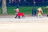 Trooping the Colour 2011: Conmael, an Irish Wolfhound, is the Regimental Mascot of the Band of the Irish Guards. All Regimental dogs have been named after the High Kings and Legendary Chieftains of Ireland. Conmael does not take part in the parade.
Conmael has also been at the Royal Wedding in 2011. 

He is led here by his handler, a member of the Corps of Drums, on Horse Guards Road, in front of spectators watching the parade from St Jame's Park.

On the right Senior Drum Major Ben Roberts, Coldstream Guards, leading the Band of the Welsh Guards..
Horse Guards Parade, Westminster,
London SW1,
Greater London,
United Kingdom,
on 11 June 2011 at 10:12, image #11