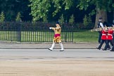 Trooping the Colour 2011: Drum Major Tony Taylor, Coldstream Guards, leading the Band of the Irish Guards onto Horse Guards Parade..
Horse Guards Parade, Westminster,
London SW1,
Greater London,
United Kingdom,
on 11 June 2011 at 10:16, image #19
