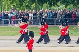 Trooping the Colour 2011: The Band of the Grenadier Guards on the way to the parade ground, in front of spectators wtaching from St. James's Park..
Horse Guards Parade, Westminster,
London SW1,
Greater London,
United Kingdom,
on 11 June 2011 at 10:28, image #39