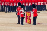 Trooping the Colour 2011: The Colour Case has been removed from the Colour, and the Colour Sergeant Chris Millin, has unrolled the flag, whilst the Duty Drummer is holding the colour case, and the sentry is presenting arms..
Horse Guards Parade, Westminster,
London SW1,
Greater London,
United Kingdom,
on 11 June 2011 at 10:33, image #55