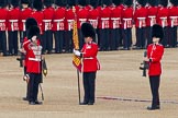 Trooping the Colour 2011: The Sergeant of the Ecort to the Colour, Colour Sergeant Chris Millin, holding the flag, whilst the two sentries present arms, and the Duty Drummer, holding the colour case, salutes..
Horse Guards Parade, Westminster,
London SW1,
Greater London,
United Kingdom,
on 11 June 2011 at 10:33, image #57