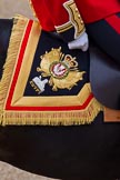 Trooping the Colour 2011: Detail of the saddle pad, the embroidery says 'Nemo me impune lacessit' - the (Latin) motto of the three Scottish regiments in the British Army, meaning 'No one attacks me with impunity'..
Horse Guards Parade, Westminster,
London SW1,
Greater London,
United Kingdom,
on 11 June 2011 at 10:40, image #67