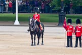 Trooping the Colour 2011: The Major of the Parade, Major Benedict Peter Norman Ramsay, Welsh Guards. He was awarded a CBE on the day of the parade..
Horse Guards Parade, Westminster,
London SW1,
Greater London,
United Kingdom,
on 11 June 2011 at 10:43, image #75
