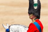 Trooping the Colour 2011: HRH Prince Charles, The Prince of Wales, Colonel Welsh Guards..
Horse Guards Parade, Westminster,
London SW1,
Greater London,
United Kingdom,
on 11 June 2011 at 11:10, image #176