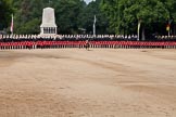 Trooping the Colour 2011: The line of guards (from the left to the right No. 1 to No. 5 Guard), behind them the Life Guards and Blues and Royals, behind them the Guards Memorial and St. James's Park. In front of them the Field Officer, Lieutenant Colonel Lincoln P M Jopp..
Horse Guards Parade, Westminster,
London SW1,
Greater London,
United Kingdom,
on 11 June 2011 at 11:11, image #181