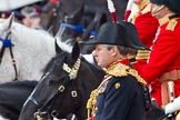 Trooping the Colour 2011: The Crown Equerry, Colonel W T Browne. Toby Browne is a former commander household cavalry..
Horse Guards Parade, Westminster,
London SW1,
Greater London,
United Kingdom,
on 11 June 2011 at 11:12, image #185