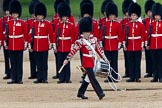 Trooping the Colour 2011: The Lone Drummer, Lance Corporal Gordon Prescott, has left the line, marching to a position at the right of the Escort to the Colour, where he will bear the 'drummers call', which will start the next phase of the parade..
Horse Guards Parade, Westminster,
London SW1,
Greater London,
United Kingdom,
on 11 June 2011 at 11:16, image #196