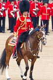 Trooping the Colour 2011: The Field Officer, Lieutenant Colonel L P M Jopp, Scots Guards, riding Burniston..
Horse Guards Parade, Westminster,
London SW1,
Greater London,
United Kingdom,
on 11 June 2011 at 11:25, image #209