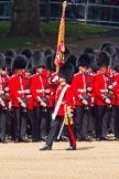 Trooping the Colour 2011: The Ensign for the Colour, Lt. Tom Ogilvy, Scots Guards, is carrying the Colour through the ranks of the assembled guardsmen, here No. 5 Guard, 1st Battalion Welsh Guards..
Horse Guards Parade, Westminster,
London SW1,
Greater London,
United Kingdom,
on 11 June 2011 at 11:25, image #210